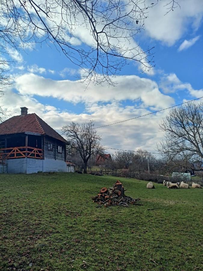 Brvnara Ljubicica Ferienhaus *